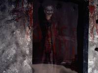 Arkham Asylum (Batman) Custom Action Figure