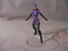 Catwoman (DC Infinite Heroes) Custom Action Figure