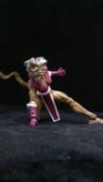 Feral (Marvel Legends) Custom Action Figure