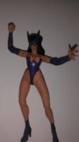 Star Saphire (Total Justice) Custom Action Figure