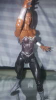 Donna Troy (DCEU concept) (DC Universe) Custom Action Figure