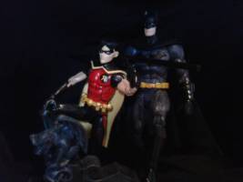 YJ Robin (DC Universe) Custom Action Figure