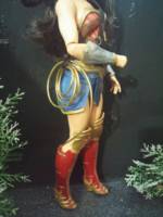 Wonder Woman (Wonder Woman) Custom Action Figure