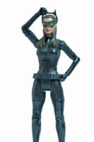 Catwoman - The Dark Knight Rises (Movie Masters) Custom Action Figure