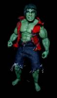 Lou Ferrigno Hulk (Hulk - Movie) Custom Action Figure