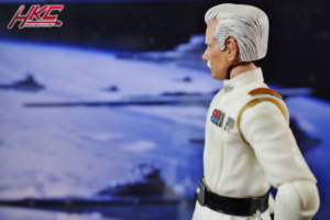 Grand Admiral Gilad Pellaeon (Star Wars Black series 6 inch Legends figure) (Star Wars) Custom Action Figure