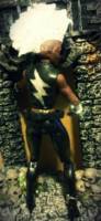 Storm  ( Punk Storm Marvel leggends) (Marvel Legends) Custom Action Figure