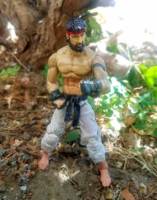 Beard Ryu (Street Fighter) Custom Action Figure