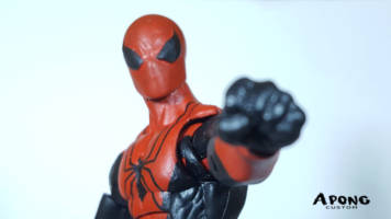 Assassin Spider-man (Marvel Legends) Custom Action Figure