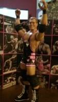 King of Harts Owen Hart (Wrestling) Custom Action Figure