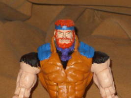 Sea Hawk (Masters of the Universe) Custom Action Figure