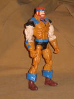 Sea Hawk (Masters of the Universe) Custom Action Figure