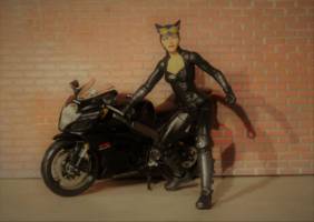 Catwoman (DC Universe) Custom Action Figure