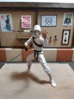 Dojo - Custom Action Figure Diorama (G.I. Joe) Custom Diorama / Playset