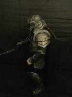 Erebor warrior (Hobbit) Custom Action Figure