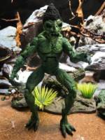 Rancidbranch the Troll / Black Marshes (Dungeons and Dragons) Custom Action Figure