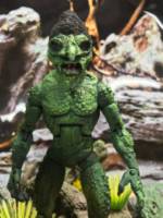 Rancidbranch the Troll / Black Marshes (Dungeons and Dragons) Custom Action Figure