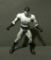 Alex Ross's Batman Black and White (Batman) Custom Action Figure