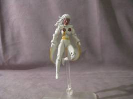 Storm (Marvel Universe) Custom Action Figure