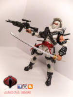 STORM SHADOW [Thomas Arashikage] (G.I. Joe) Custom Action Figure