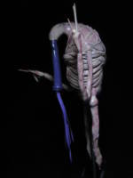Fleshy Frank (Original) Custom Statue / Bust