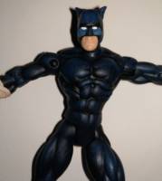Wildcat (Total Justice) Custom Action Figure