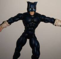 Wildcat (Total Justice) Custom Action Figure