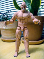 Lord Anton Arcane (DC Universe) Custom Action Figure