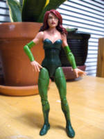 Pamela Lillian Isley - Poison Ivy (DC Universe) Custom Action Figure