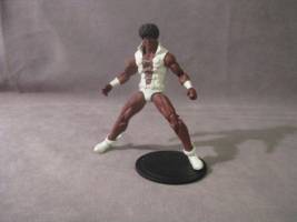 Tyroc (DC Infinite Heroes) Custom Action Figure