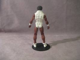 Tyroc (DC Infinite Heroes) Custom Action Figure