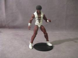 Tyroc (DC Infinite Heroes) Custom Action Figure