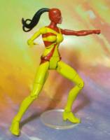 Judomaster (Sonia Sato) (DC Universe) Custom Action Figure