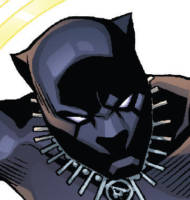 Black Panther: Brian Stelfreeze Comic Style (Marvel Legends) Custom Action Figure