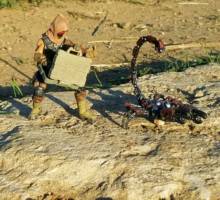 Desert Scorpion (G.I. Joe) Custom Action Figure