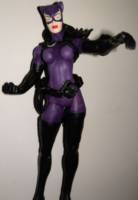 Catwoman (Total Justice) Custom Action Figure