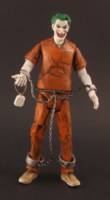 Joker (Arkham Inmate) (DC Universe) Custom Action Figure