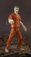 Joker (Arkham Inmate) (DC Universe) Custom Action Figure