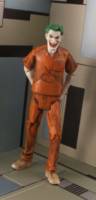 Joker (Arkham Inmate) (DC Universe) Custom Action Figure