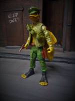 Ace Duck (Teenage Mutant Ninja Turtles) Custom Action Figure