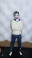 Joker (Arkham Inmate) (Batman) Custom Action Figure