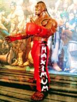 Deejay (Street Fighter) Custom Action Figure