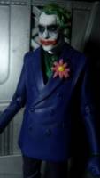 DC Multiverse classics Joker with alternate heads (DC Universe) Custom Action Figure