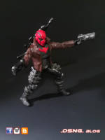 Red Hood (DC Universe) Custom Action Figure