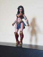 Wonder Woman (Wonder Woman) Custom Action Figure