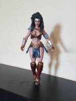 Wonder Woman (Wonder Woman) Custom Action Figure