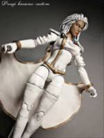 Storm jim lee (Marvel Legends) Custom Action Figure
