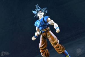 S.H.Figuarts Ultra Instinct Goku (Dragonball Z) Custom Action Figure