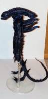 Jeri (Aliens: Stronghold) (Aliens) Custom Action Figure