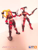 Harley Quinn (Ver 2.0) (DC Universe) Custom Action Figure